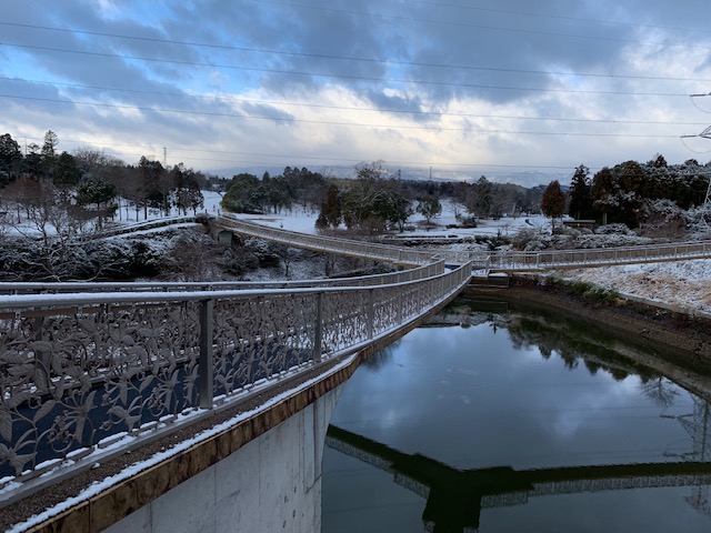 2019年　亀甲橋の雪景色