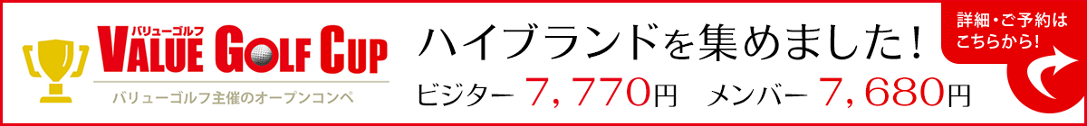 VGカップハイブランド集めました
